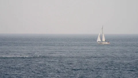 A sailboat sails alone on the spring sea Stock Footage 88632988
