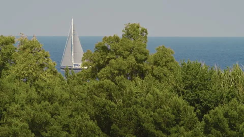 Sailboat sails in the sea Stock Footage 243738057