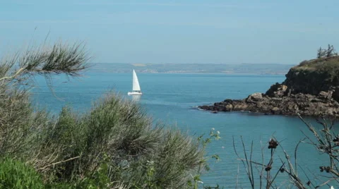 Sailboat on the sea Stock-Footage 43661780