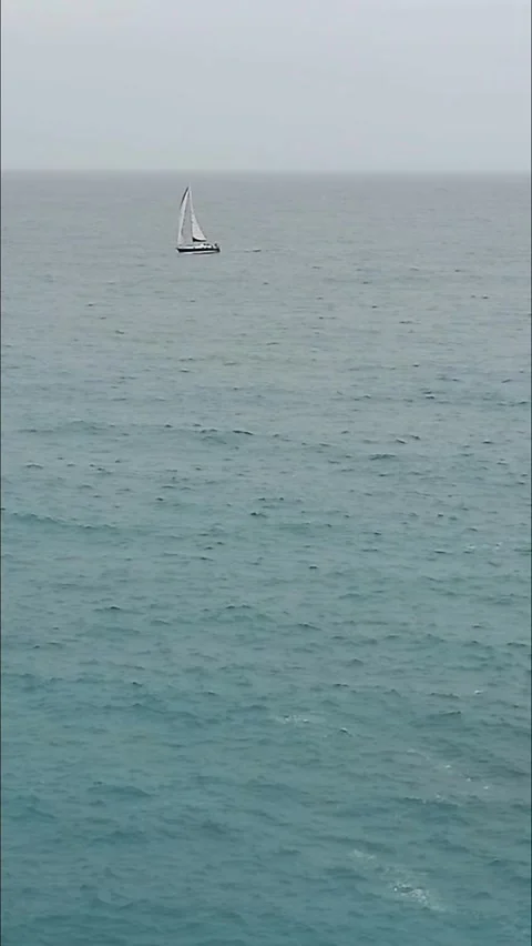 Sailboat on the sea Video stock 272606990