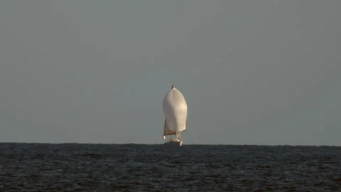 Sailboat smoothly navigating across the dark blue ocean, creating a serene and Видео 339803909