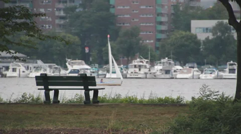 Sailboat on the St Charles river Video stock 29645117