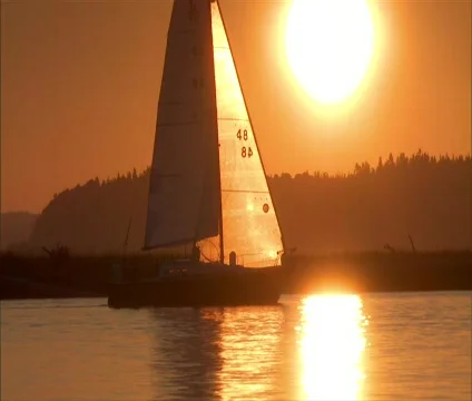 Sailboat in Sunset Video stock 326533