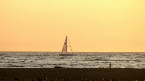 Sailboat Sunset in HD Stock Footage 110353