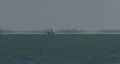 Sailboat In Tampa Bay HD Footage