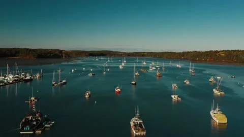 Sailboat on water 動画素材 146519842