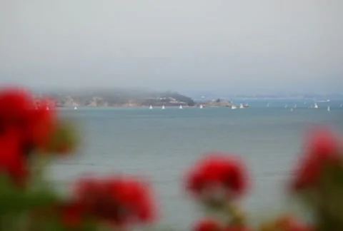 Sailboats 01 SD Stock Footage 8846901