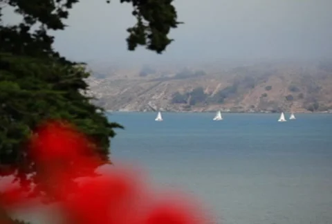 Sailboats 04 SD 스톡 동영상 8846921