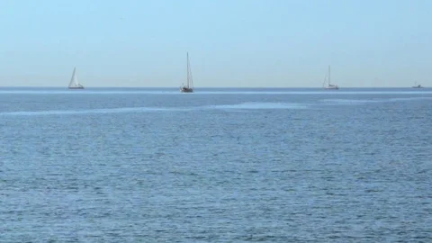 Sailboats And Diver Vídeo Stock 73633407