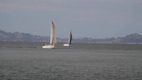 Sailboats On The Bay Stock Footage 162449656