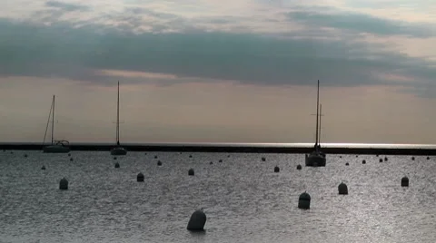 Sailboats in Chicago Harbor Stock Footage 7740083