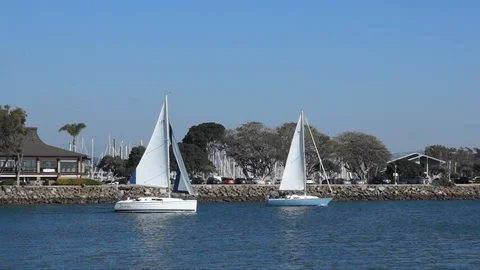 Sailboats at Dana Point Stock Footage 103532427