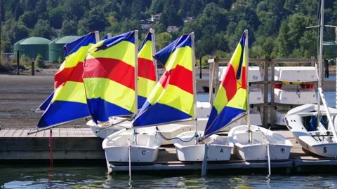 Sailboats on the Dock 스톡 동영상 158863010
