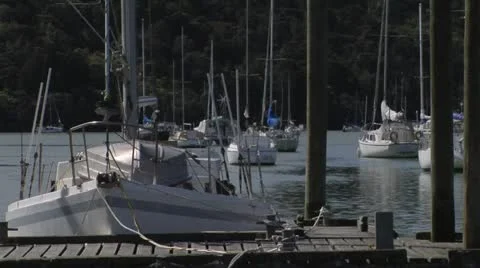 Sailboats docked Stock Footage 21703340