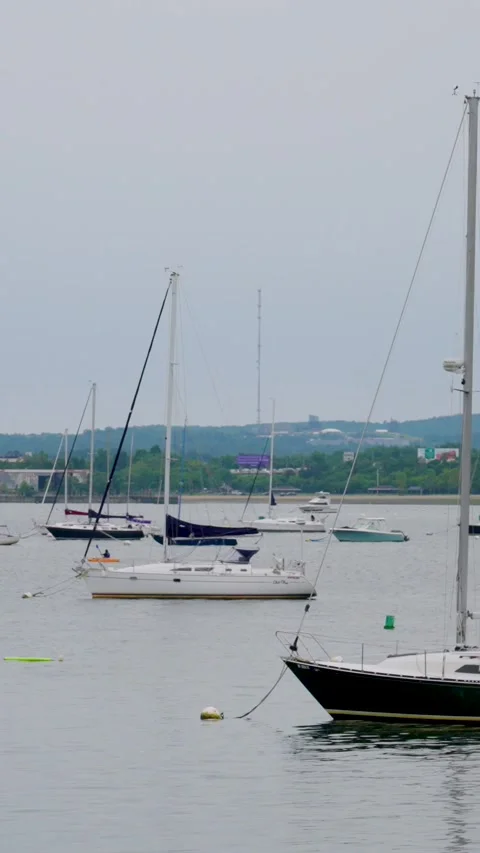 Sailboats floating in a harbor - vertical Stock Footage 336810864