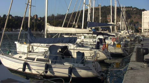 Sailboats 库存影片 612583