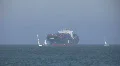 Sailboats HD Footage