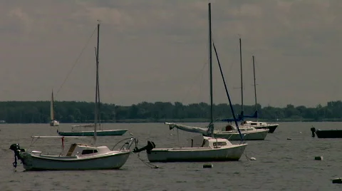 Sailboats  動画素材 814168