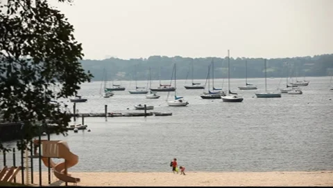 Sailboats 스톡 동영상 8656940