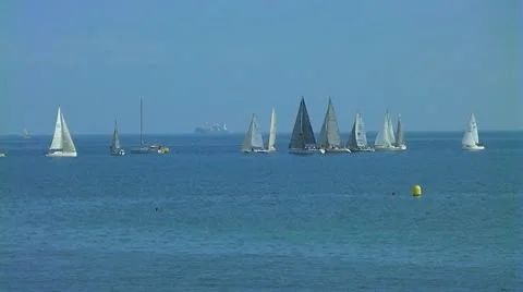 Sailboats Stock Footage 8858765