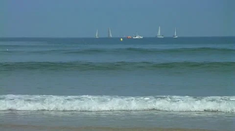 Sailboats Stock Footage 8916250