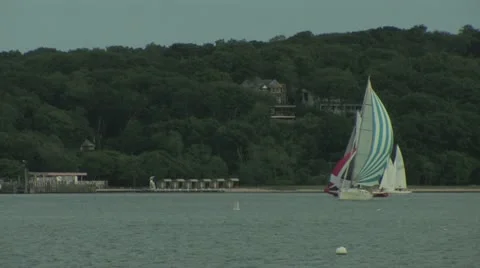 Sailboats 스톡 동영상 11123430