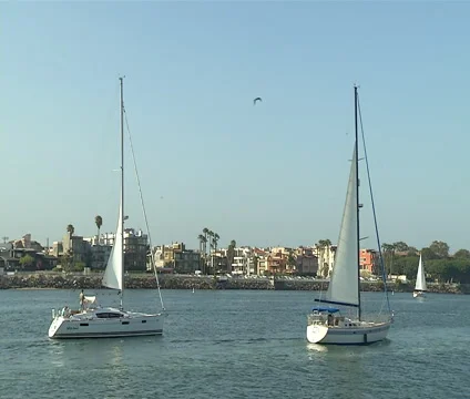 Sailboats Stock Footage 46518847