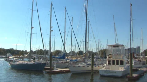 Sailboats in Harbor Stock Footage 38765881