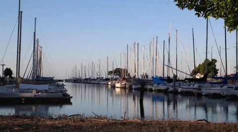 Sailboats in the Harbor 動画素材 68169699