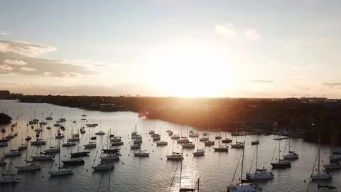 Sailboats in Harbor Stock Footage 116261245