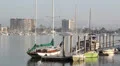 Sailboats at Marina Boat Ramp HD Footage