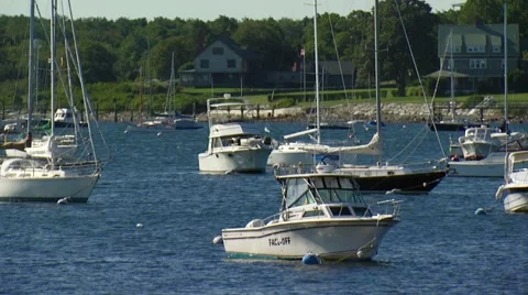 Sailboats moored on harbor Video stock 54593124