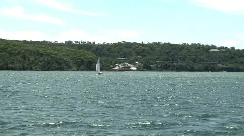 Sailboats on a ocean Stock Footage 11164949