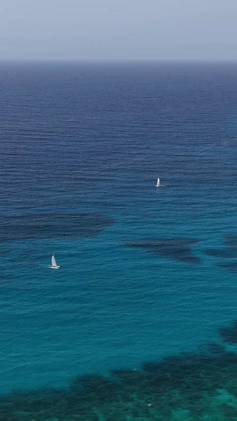 Sailboats on the ocean Video stock 342133038