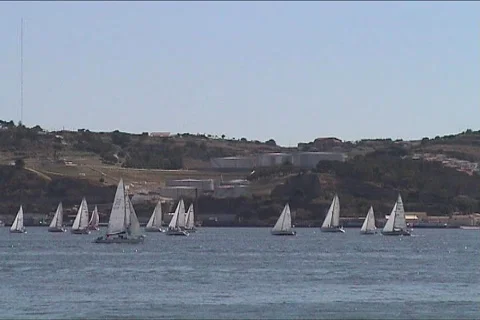 Sailboats in regatta  Stock Footage 116144