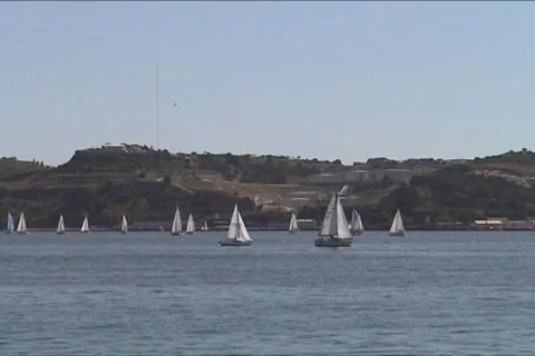 Sailboats in regatta  Stock Footage 116888