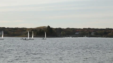 Sailboats on the River Stock Footage 40812457