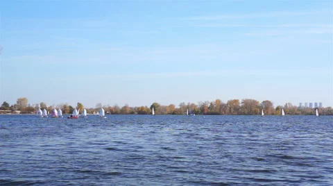 Sailboats on the river Video stock 42648349