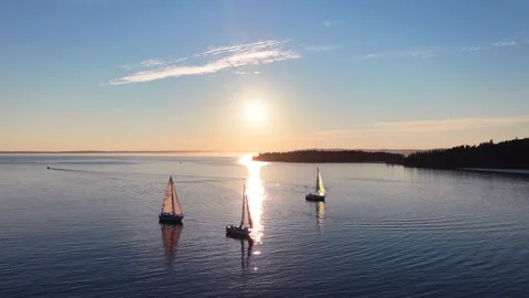 Sailboats Sailing at Sunset Along Nova Scotia Coastline Stock Footage 342842014