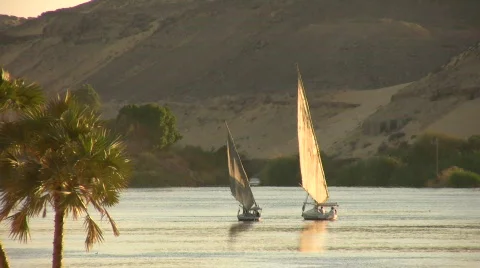 Sailboats at sunset in Egypt Stock Footage