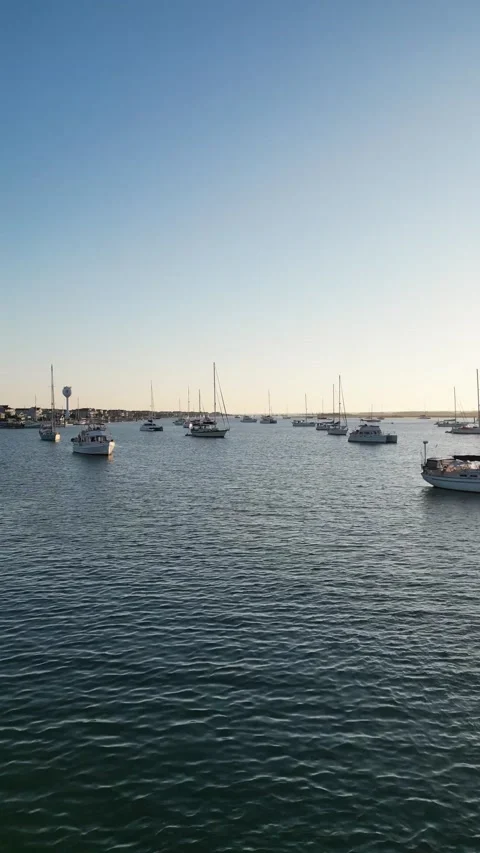 Sailboats at Sunset Stock Footage 221424245
