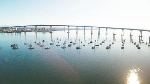 Sailboats under a Bridge Stock Footage 247333579