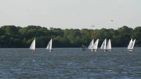Sailboats on White Rock Lake in Dallas Stock Footage