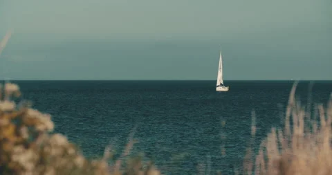 Sailboot ocean coast sailing 4k 스톡 동영상 153499183