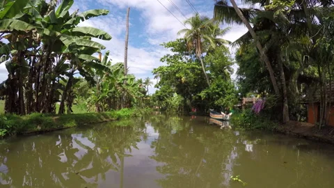 Sailing across the river in the jungle Stock Footage 233401289