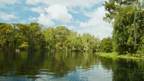 Sailing along the River at Silver Springs in Florida, USA.
View of Clear Video stock 123423994