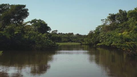 Sailing at amazon river Vídeo Stock 164047136