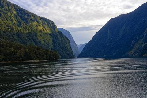 Sailing between towering cliffs in Doubtful Sound at sunrise. Stock Photos