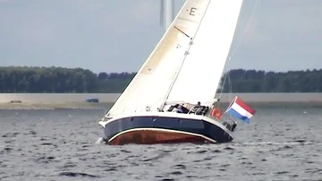  Sailing with the birds (audio) Stock Footage 85572694