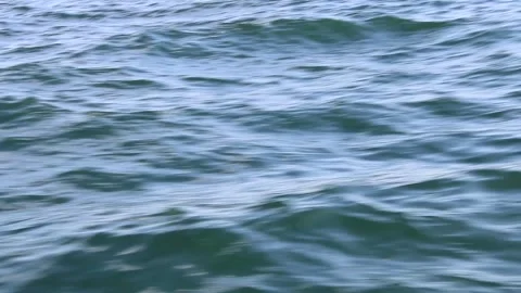 Sailing on the blue deep sea Stock Footage 141184761
